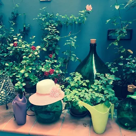 Civico Cinque Bed & Breakfast Salerno