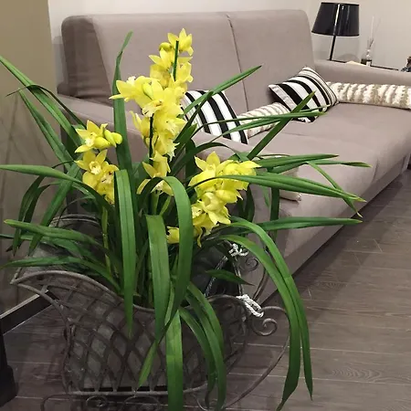 Bed & Breakfast Civico Cinque Salerno
