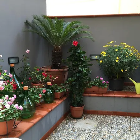 Panzió Civico Cinque