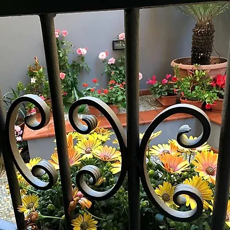 Civico Cinque Couette-café Salernes
