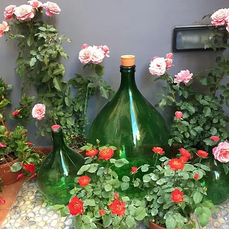 Civico Cinque Bed & Breakfast Salerno