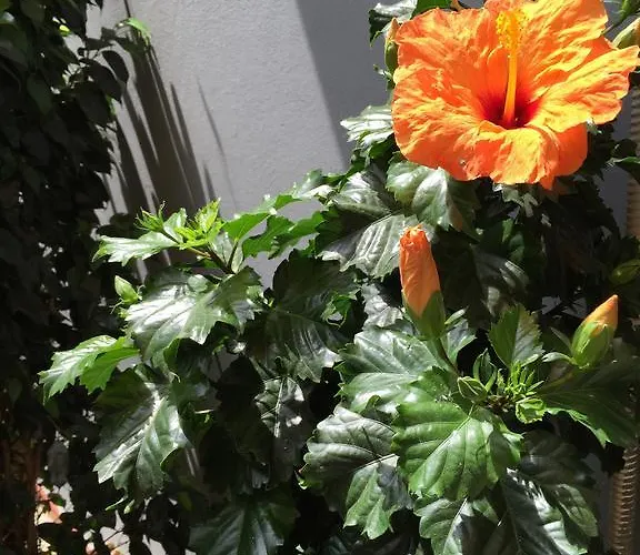 Bed & Breakfast Civico Cinque